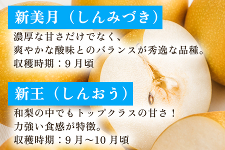 【2026年先行予約】新潟県産 和梨 おまかせ5kg 【7品種から旬の和梨5kgをお届け！】 園主おすすめ厳選和梨 （幸水・秋麗・豊水・あきづき・新美月・新王・新興） 《8月下旬から順次発送》