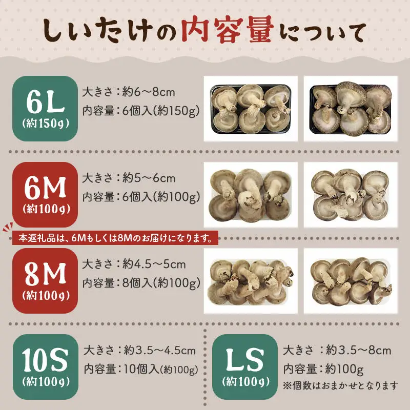 しいたけ A級品 Mサイズ 約800g(約100g(6～8個入)×8パック)