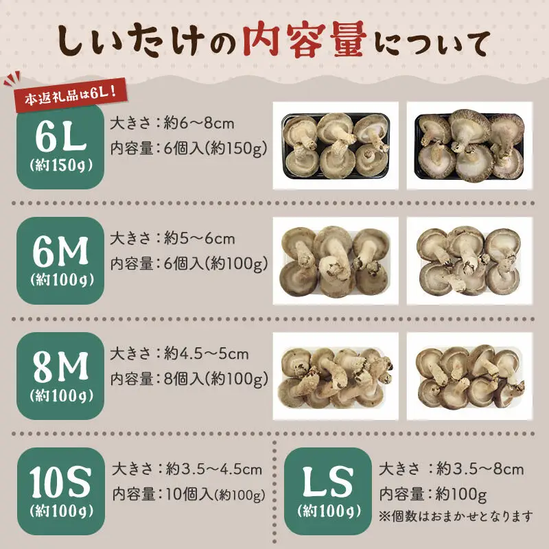 しいたけ A級品 Lサイズ 約1.2kg(約150g(6個入)×8パック)