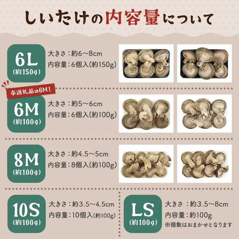 しいたけ A品 6M（約100g）×30パック