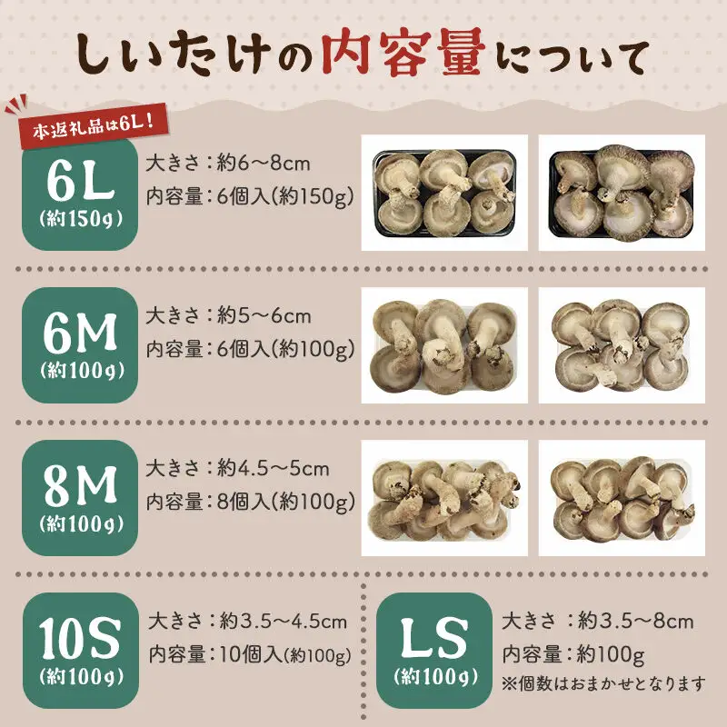 しいたけ B品 6L（約150g）×20パック