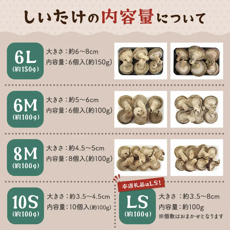 しいたけ 無印品 LS（約100g）×30パック