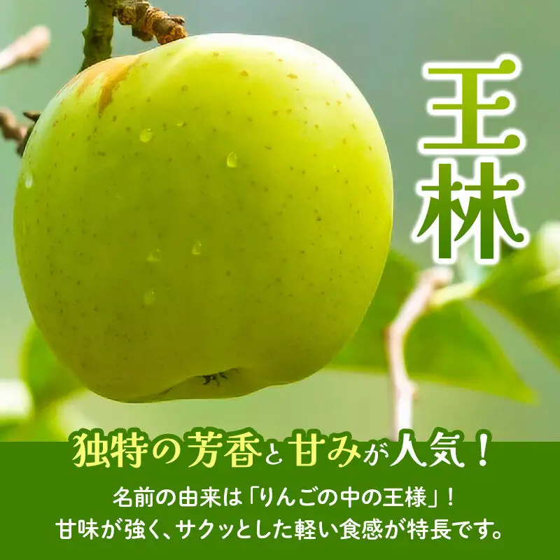 秋田県横手市産 りんご 王林 家庭用 約10kg
