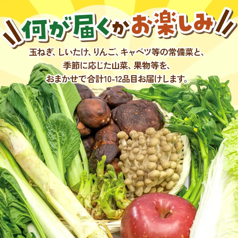 和泉青果六代目が選ぶ 秋田の季節野菜おまかせセット 10～12品目