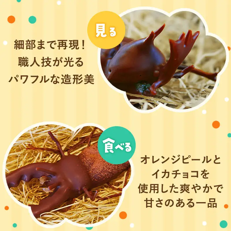 カブトムシの成虫チョコレート＆クワガタチョコレート 小松屋本店 プレゼント インスタ映え お菓子 スイーツ チョコ チョコレート ギフト