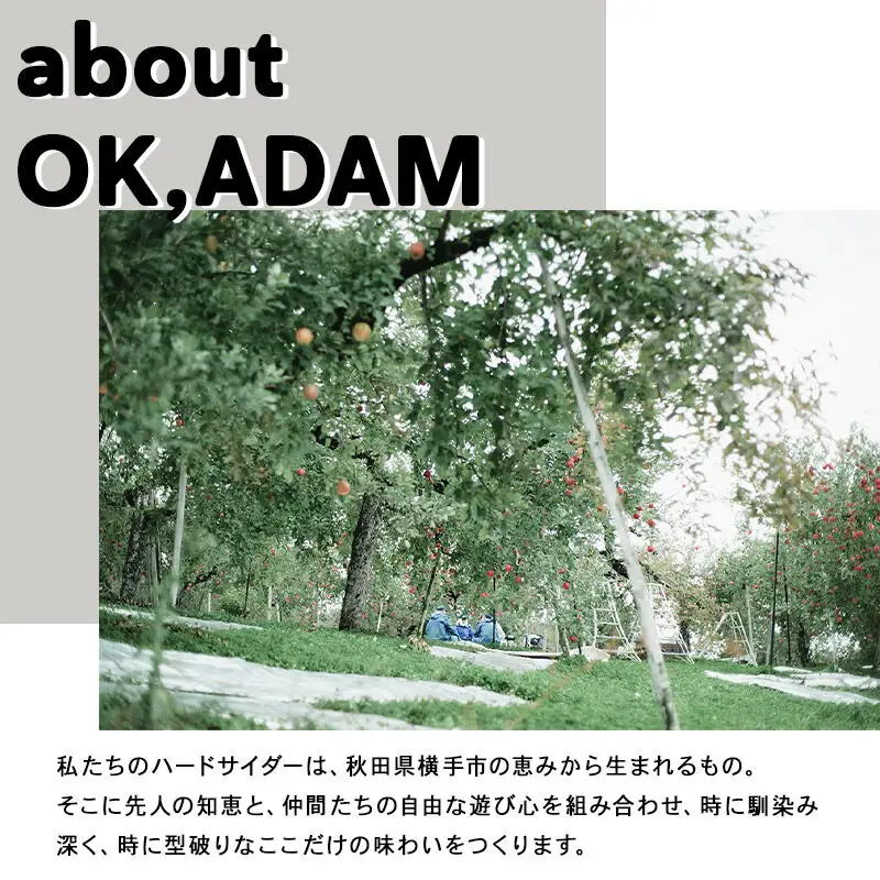 OK,ADAM ハードサイダーORIGIN 3本セット
