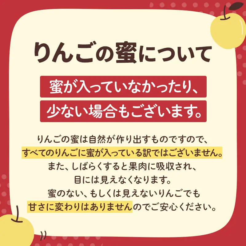 【先行受付】1月中旬より発送 パリパリ食感シナノゴールド ご家庭用 約5kg（14～23玉前後）
