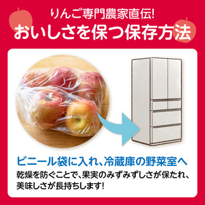 《先行受付》【2027年3月発送予定】 訳あり 家庭用サンふじ約10kg【大江町産・山形りんご・大地農産】 028-036