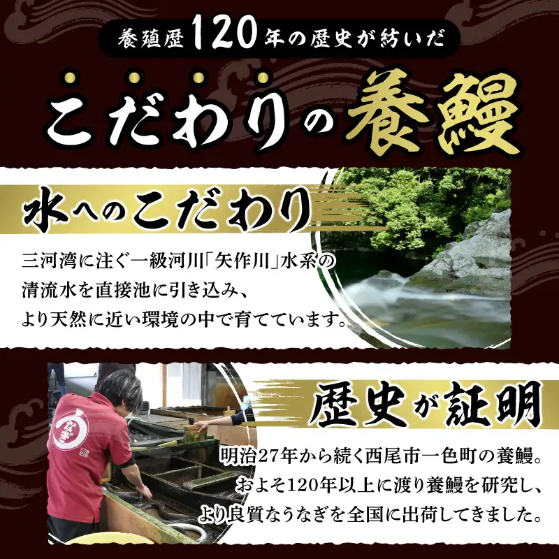 一色産めすうなぎ無頭長蒲焼2尾（300g）・I059-17