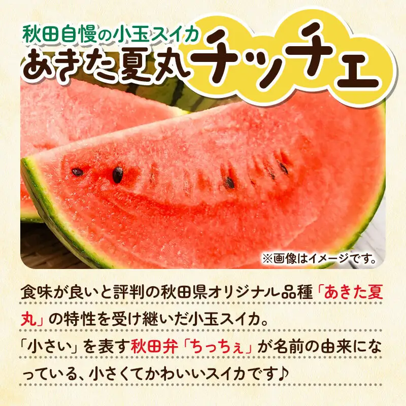 【先行受付】7月下旬より発送 秋田県横手市産 小玉すいか あきた夏丸チッチェ 約3kg×4玉セット