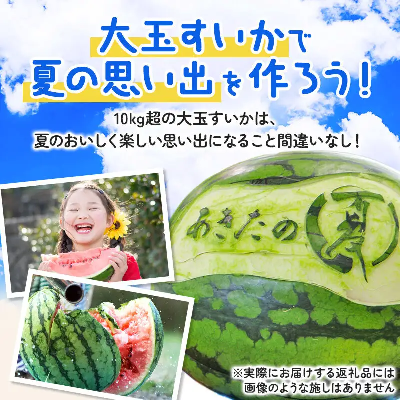 【先行受付】7月下旬より発送 秋田県横手市産 あきた夏丸すいか 5Lサイズ×1玉（約10～12kg）化粧箱入り