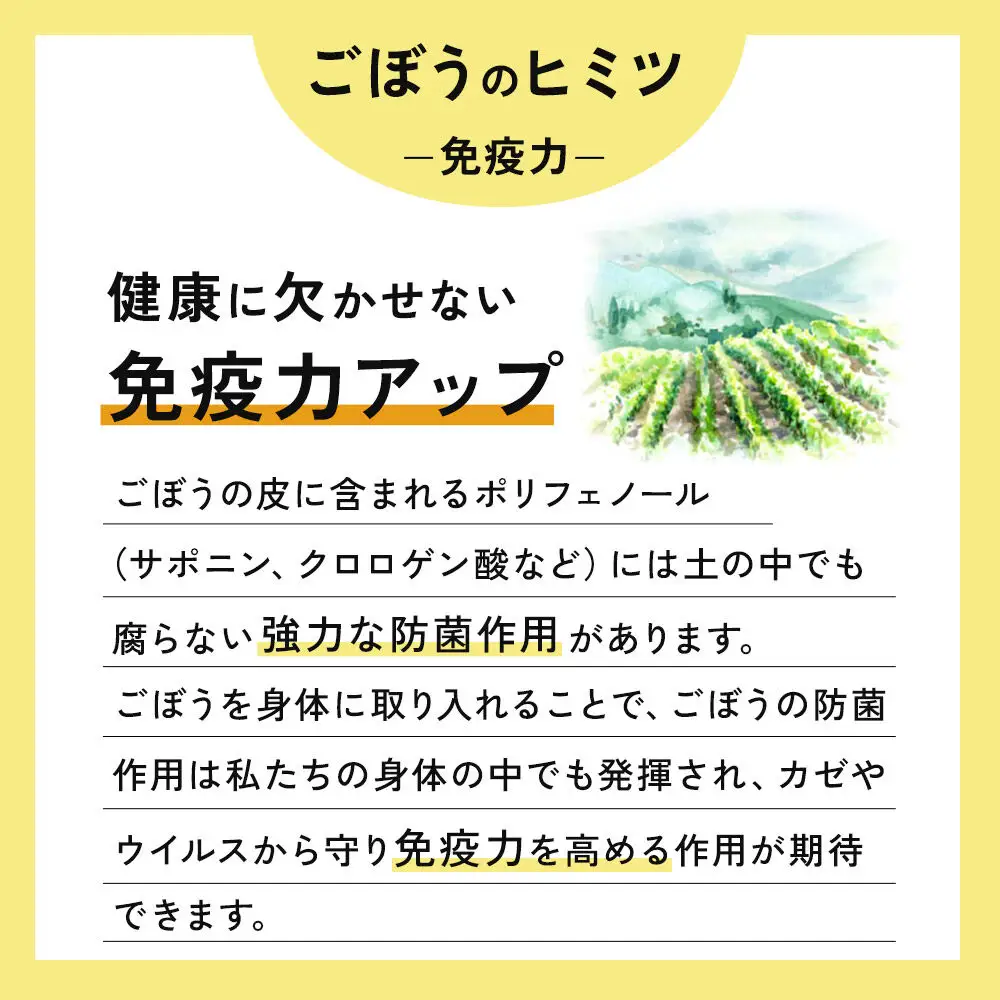 スッキリゴボウチャ ティーパックタイプ (1.5g×10包×3袋) ゆうパケット