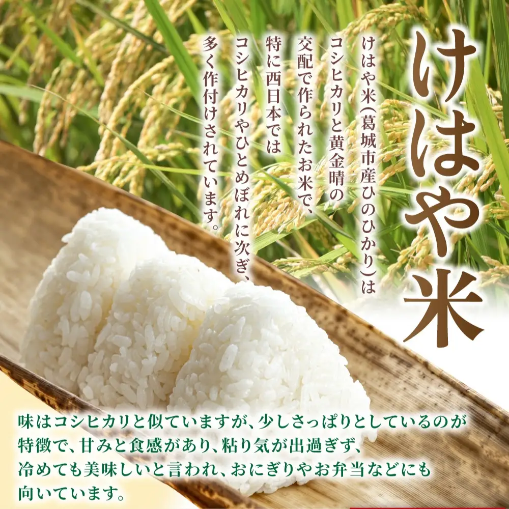 新米 けはや米 精米 6kg 令和8年度産  ヒノヒカリ 葛城市商工会青年部 奈良県 葛城市【nkss002A】