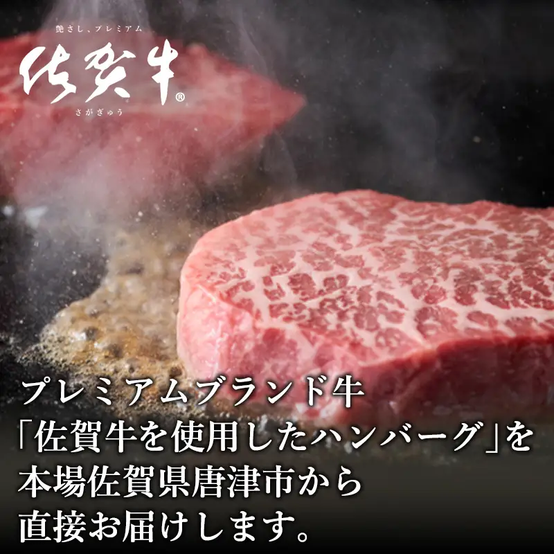 佐賀牛手造りハンバーグ 大小合計9個 140g×1個入×3袋(合計420g) 90g×2個入×3袋(合計540g) ハンバーグ