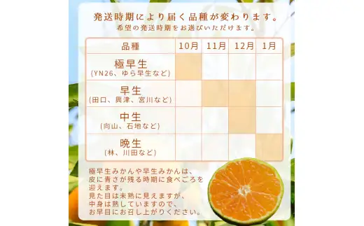 【12月発送】秀品 有田みかん 和歌山県産  S～Lサイズ 大きさお任せ 3kg / みかん フルーツ 果物 くだもの 有田みかん 蜜柑 柑橘【ktn001A-12】