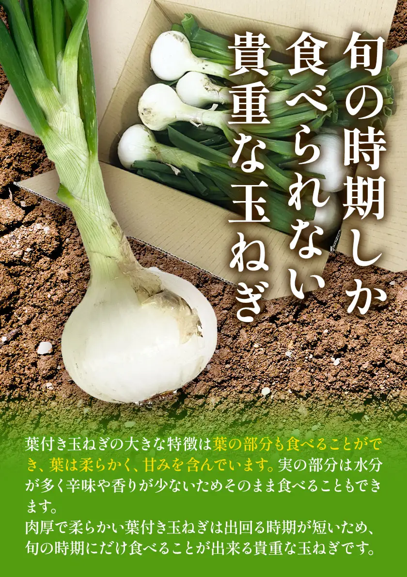 玉ねぎ 葉付き 4kg 玉ねぎ