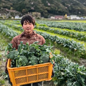 【先行予約：令和8年1月上旬以降順次発送予定】朝採り 土佐のブロッコリー 大玉6個 1.5~1.8kg 農家のオススメ専用レシピ付き【R01210】