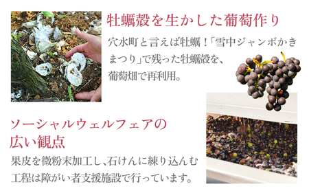 能登ワインせっけん