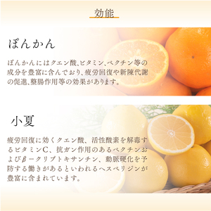 飲むゼリーぽんかん&こなつ 8個入り  F147