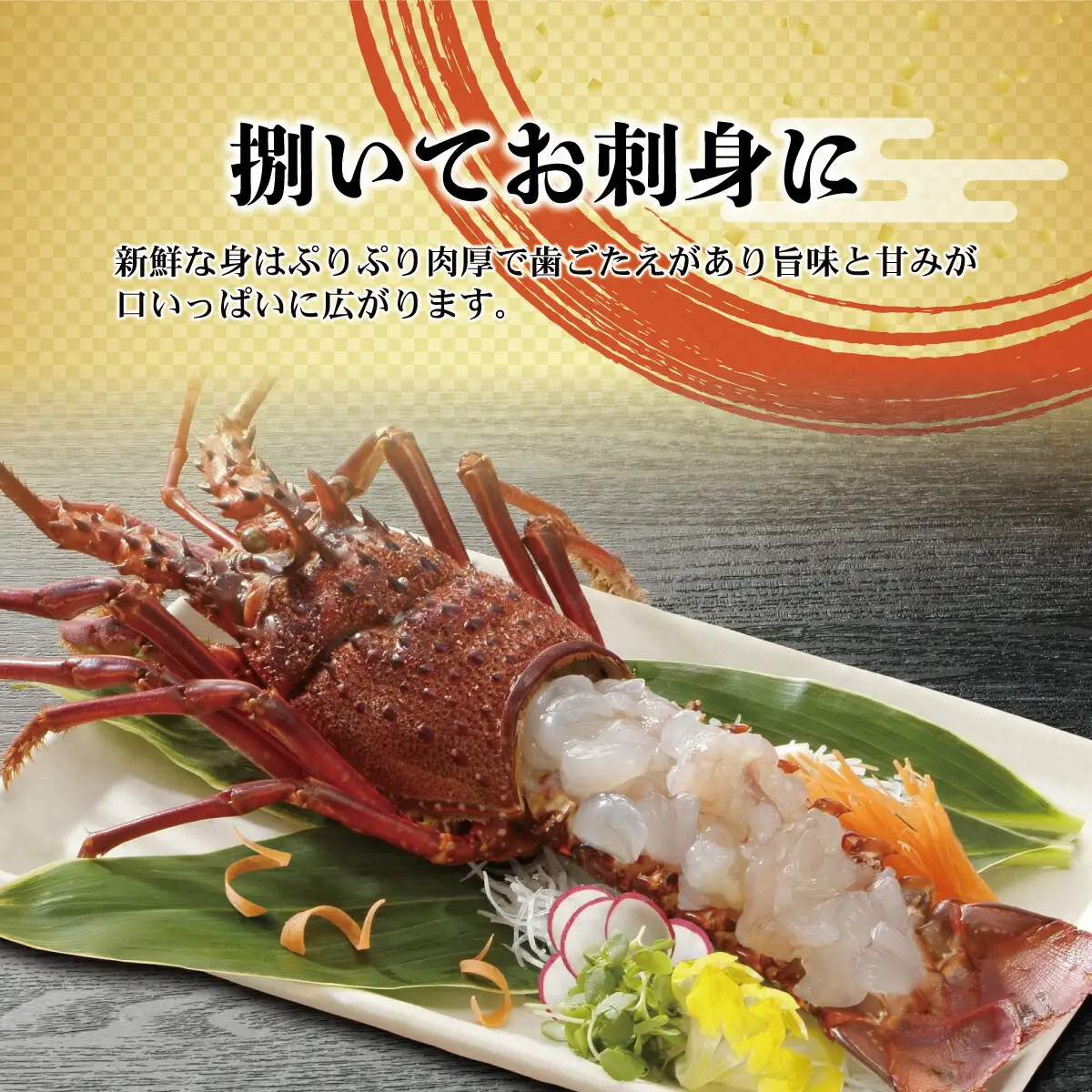 【先行予約】11月直送便 土佐獲れ 活伊勢海老 約700〜800g（2尾?4尾）  高知県土佐市 【株式会社とさもん】 [BQAE104]