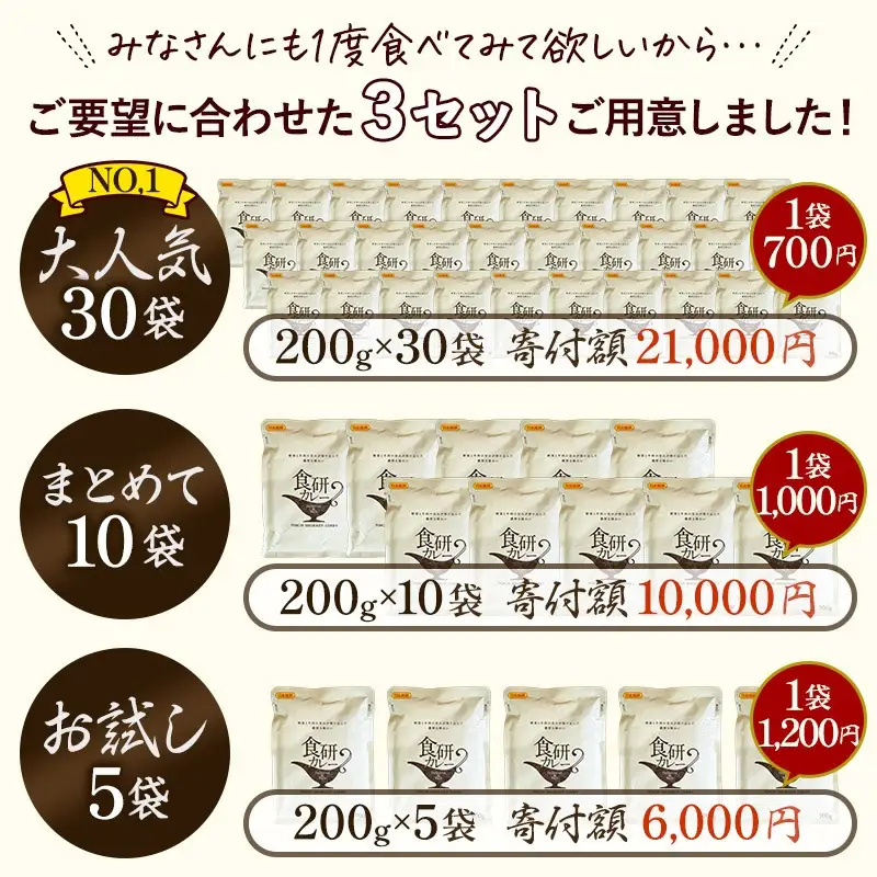 食研カレー２００ｇ×１０袋 