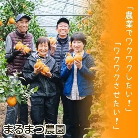 【2027年3月～5月発送】採れたて新鮮 濃厚な甘さ 超熟しらぬい 3kg 農家直送 和歌山県産【1545881】