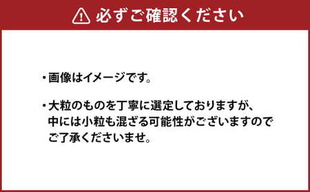 【3か月連続定期便】 熊本県産 大粒 冷凍ブルーベリー 2kg（500g×4パック）×3回 合計6kg  フルーツ 果物 くだもの 冷凍 ブルーベリー 国産