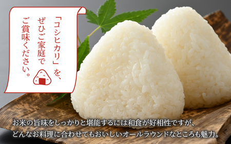 令和6年産 福井県産奥越コシヒカリ2kg ×2袋（計 4kg） [A-015019]