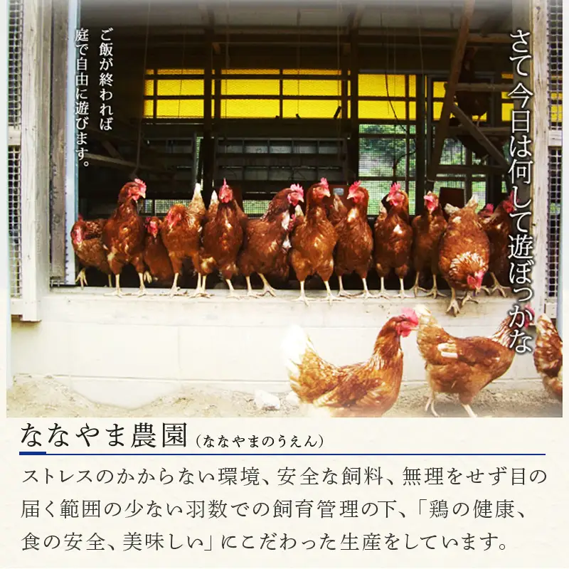 放し飼い！七山たまご 80個箱 (大玉) 玉子 生卵 鶏卵 佐賀県唐津産