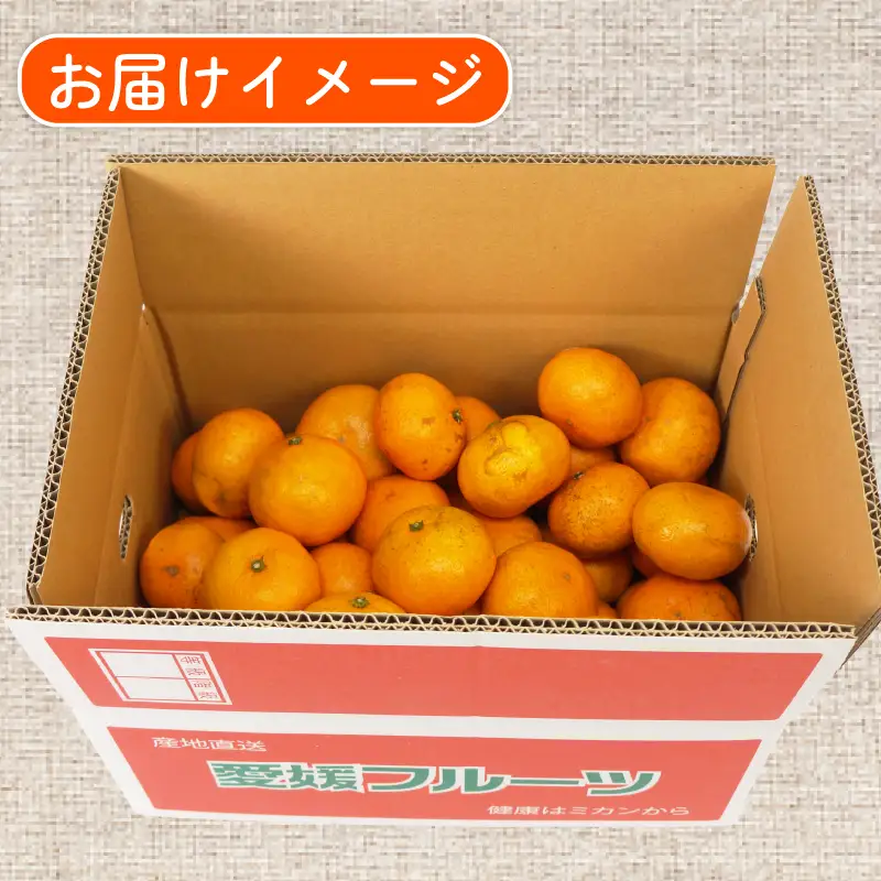 訳あり みかん 南柑20号 6kg ふるくとファーム ﾐｶﾝB010-037005