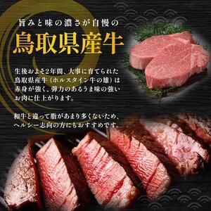 鳥取県産牛 ヒレステーキ 240g×3回 定期便 国産 牛肉 赤身 ヒレ ステーキ
