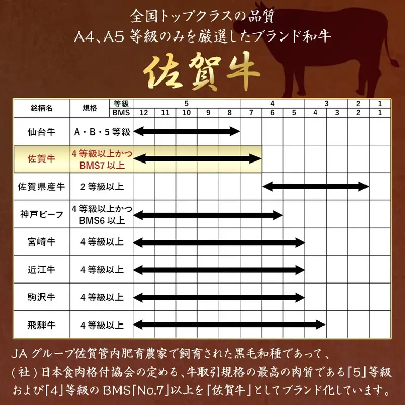 佐賀牛赤身ステーキ 900g ステーキ