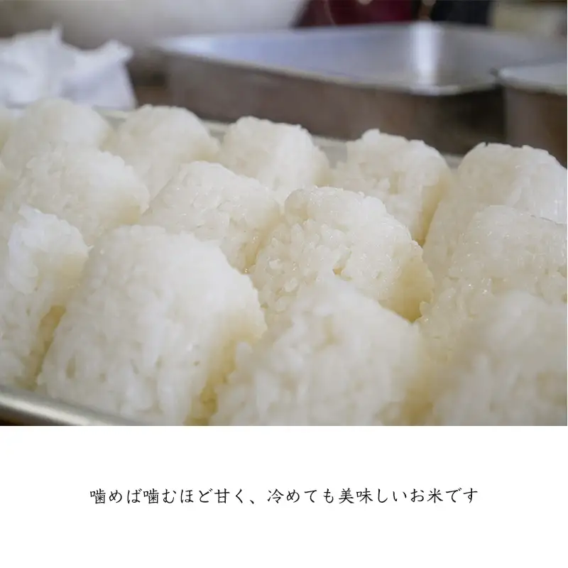 『先行予約』【令和8年産新米】特別栽培棚田米「蕨野」5kg×3袋(合計15kg) 家庭排水が一切入らない自然水で作られたお米 10日に1回精米で新米のような味わい