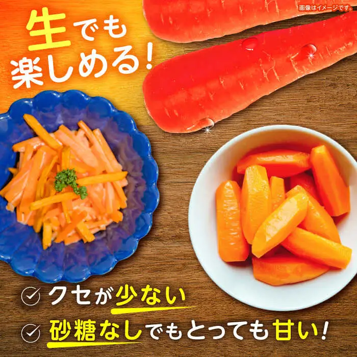 ※【2027年1月上旬より順次発送／先行予約】真っ赤なにんじん「紅天神」10kg AHCU002 にんじん
