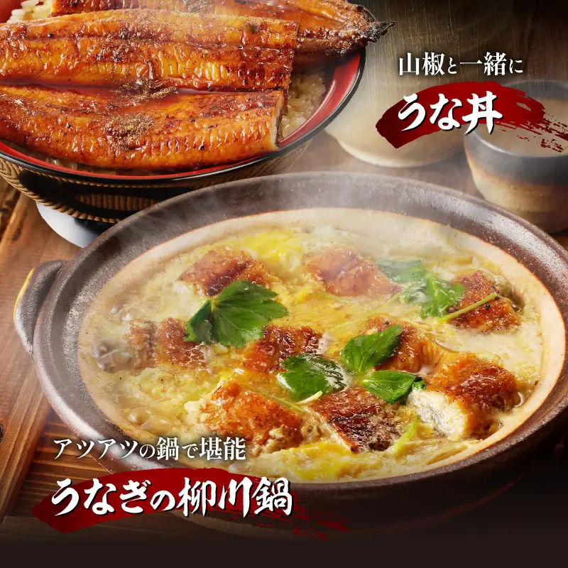 うなぎ 蒲焼 うなぎ[国産 2尾 備長炭手焼き 400g]