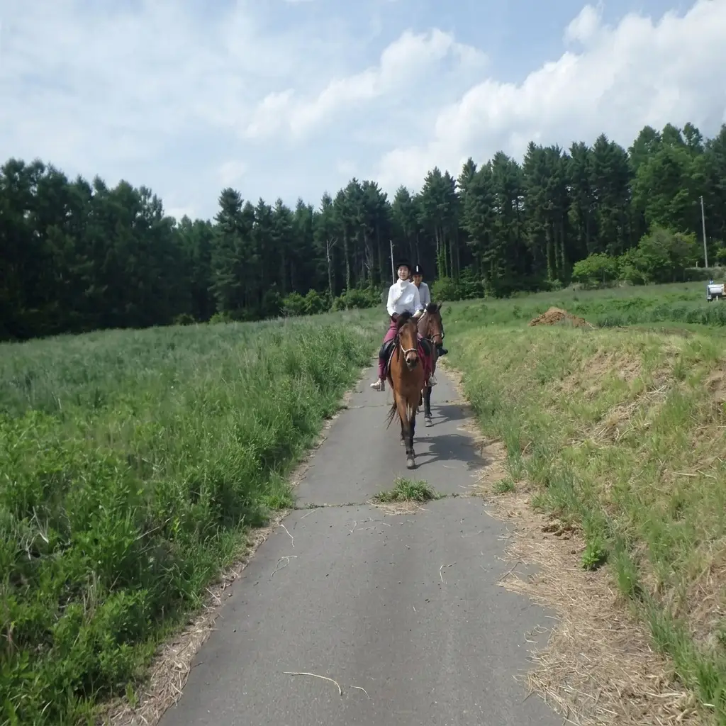 乗馬 体験 まきば軽井沢 どーんと150分 乗馬体験 1名様 長野 信州 小諸 大自然 体験チケット 