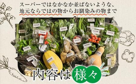 【定期便全4回】旬の採れたて 7～10種類 お野菜  詰め合わせ セット TAGATAME タガタメ【野菜 特別栽培 有機野菜 農薬不使用 無農薬】