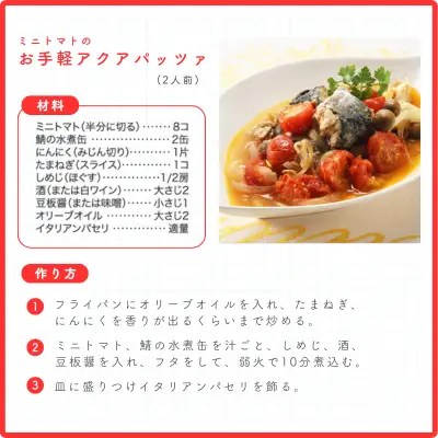 ミニトマト お試し 1.5kg｜玉宝