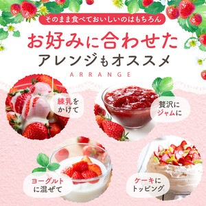いちご「ゆうべに」500g（250g×2パック）