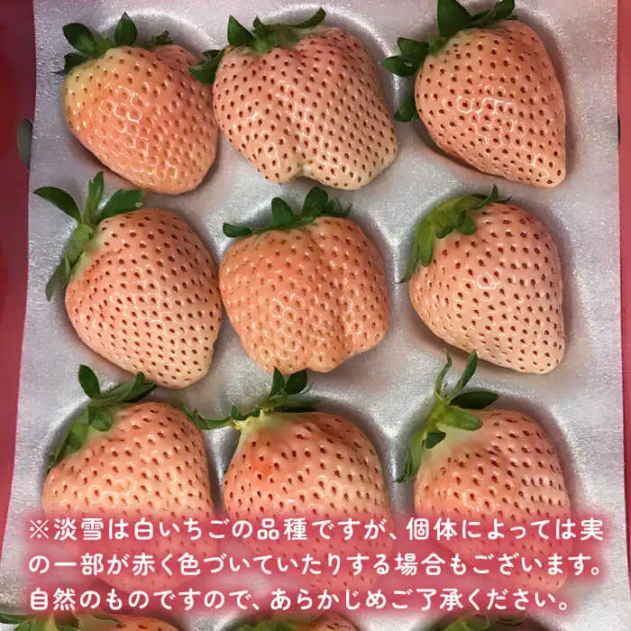 【全3回定期便】淡いピンクの白いちご「淡雪」 計1.32kg （220g×2パック×3回） / 佐賀県 いちご / 岸川農園 [41ASAG005]
