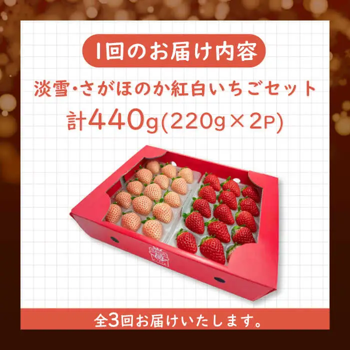 【全3回定期便】淡雪・さがほのか 紅白いちごセット 計1.32kg （220g×2パック×3回） / 佐賀県 いちご / 岸川農園 [41ASAG006]