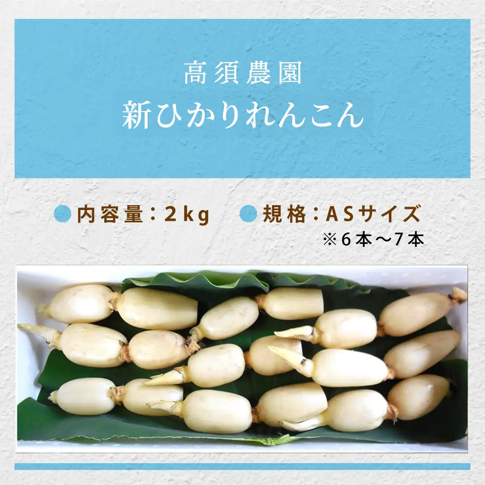 夏だけの味！「新ひかりれんこん」2kg (ASサイズ) 専用箱入 [1743]