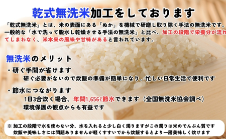 ひとめぼれ 無洗米 令和7年産 盛岡市産 5kg×2 新鮮 発送日精米 1等米のみを使用したお米マイスター監修の米 お米 白米 精米 ご飯 ブランド米 産地直送 送料無料 岩手県 盛岡市 東北 岩手 盛岡 有限会社村上米穀店