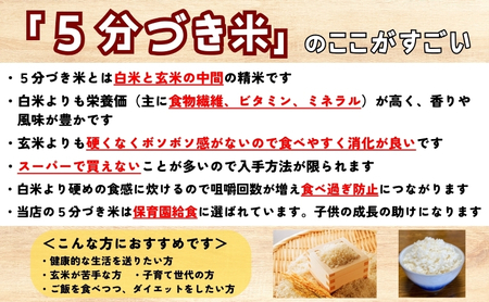 銀河のしずく ひとめぼれ 食べ比べセット 5分づき精米 令和7年産 盛岡市産 5kg×2 特A 7年連続獲得中 美味しさ欲ばる人へ 1等米100％ お米マイスター監修米 白米 精米 岩手県 盛岡市 東北 岩手 盛岡 有限会社村上米穀店