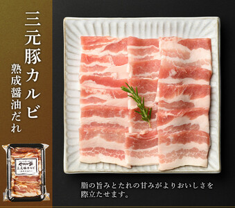 やまなか家のトリプルカルビ　食べ比べセット計700g（お肉600g+たれ100g）(G-010)　 岩手県 北上市 C0274 （KYフーズ）牛 豚 鶏肉 焼肉 カルビ 