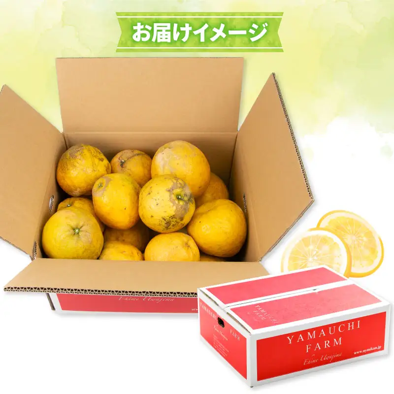 訳あり 河内晩柑 約 8kg YAMAUCHI FARM  河内晩柑 B010-084006