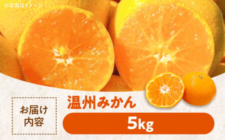 フルーツ 詰め合わせ（みかん・キウイ 各5kg）【12月上旬から順次発送】フルーツ [AGBC009]