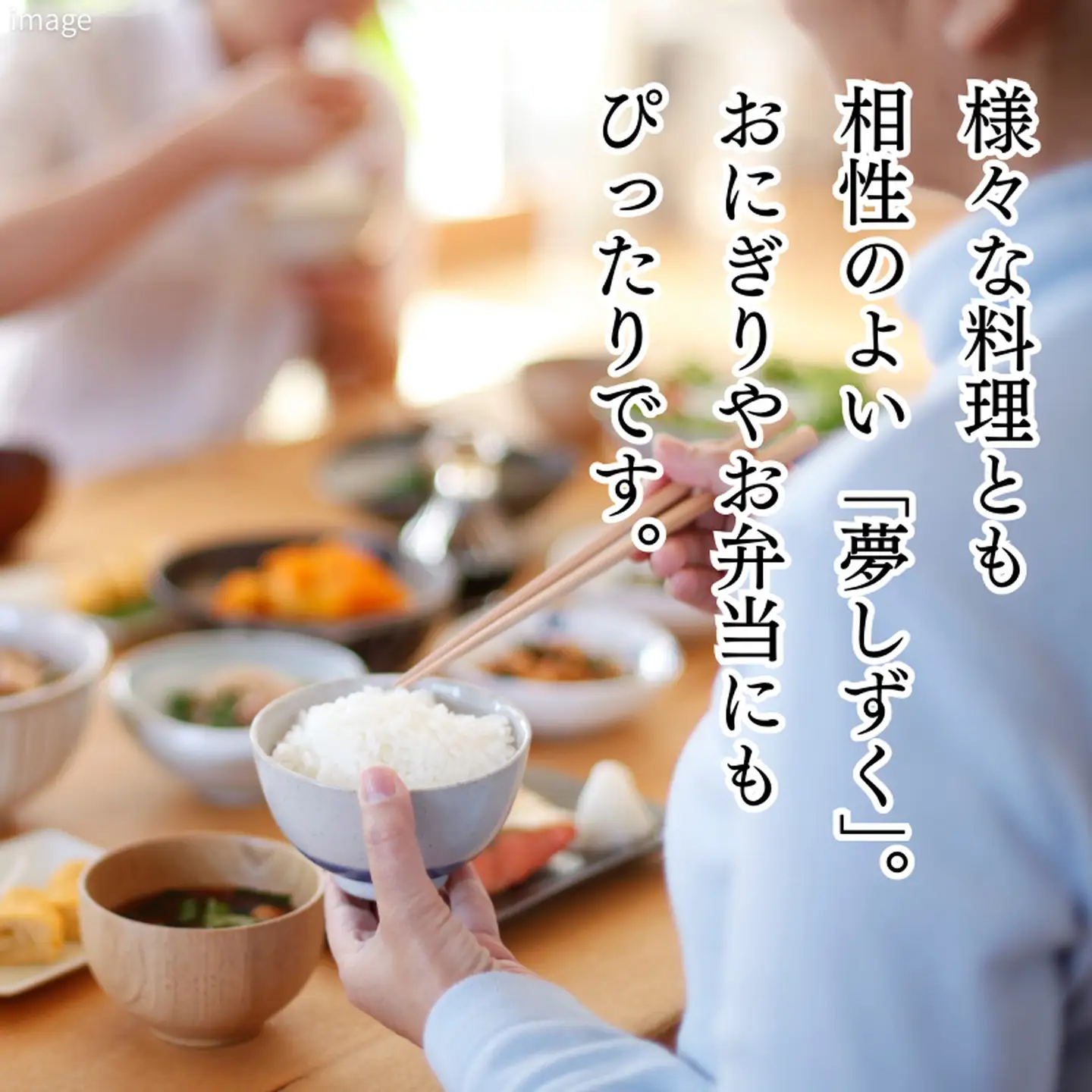 令和7年 佐賀県産「夢しずく」10kg（5kg×2袋）：B220-050