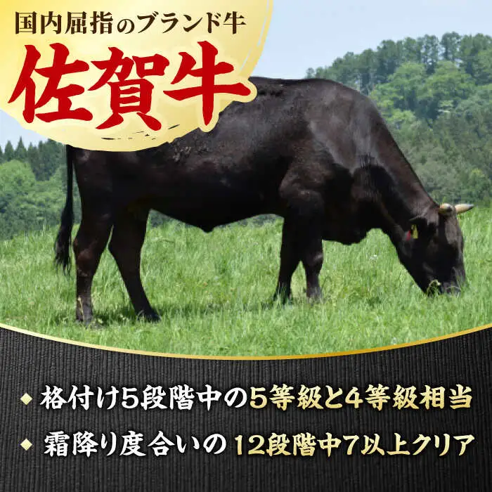 【3回定期便】佐賀牛 希少部位食べ比べ ヒレ イチボ ランプ 総計2.7kg /吉野ヶ里町/NICK’S MEAT[FCY032]