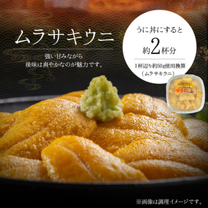 【2027年夏！新岡商店より発送】塩水バフンウニ＆ムラサキウニ（各100g）【銀座の高級寿司店御用達】【余市のうに】塩水ウニ発祥の地 高級ウニ 高級雲丹 バフンウニ ムラサキウニ 赤うに 白うに 目利き 北海道産ウニ 余市産ウニ _Y037-0352